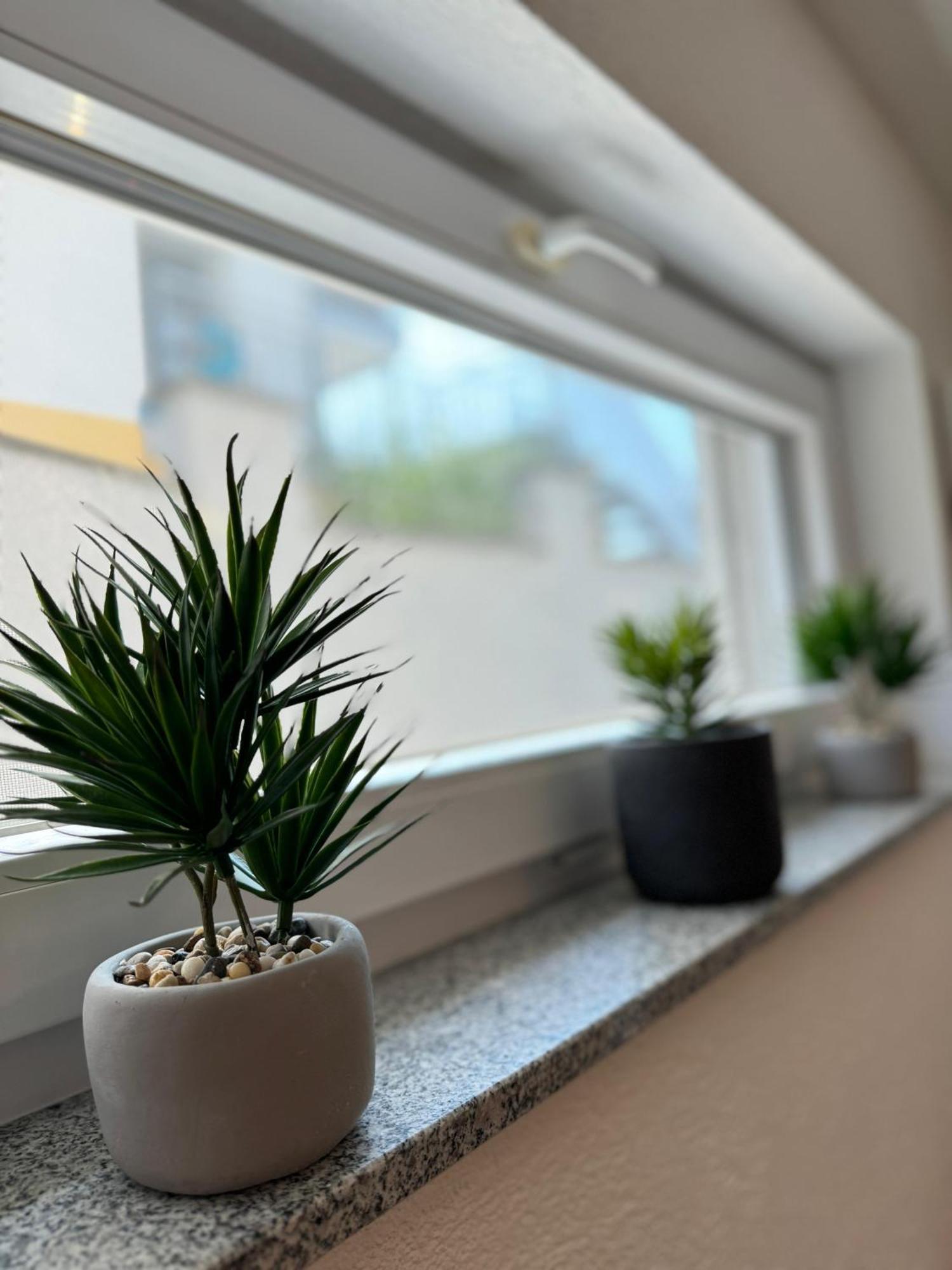 Blossom Apartment Garden View - Klimatisiert Friedrichshafen Ngoại thất bức ảnh